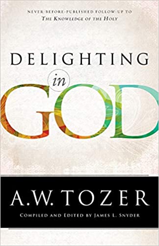 Delighting in God by A.W. Tozer for sale on Hein Ventures' bookshop in Canada