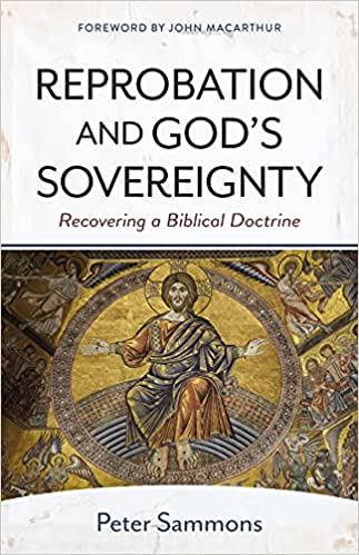 Reprobation and God's Sovereignty available from Hein Ventures' bookshop