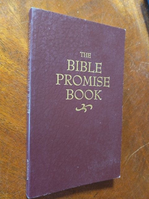 The KJV Bible Promise Book for sale on Hein Ventures' Books