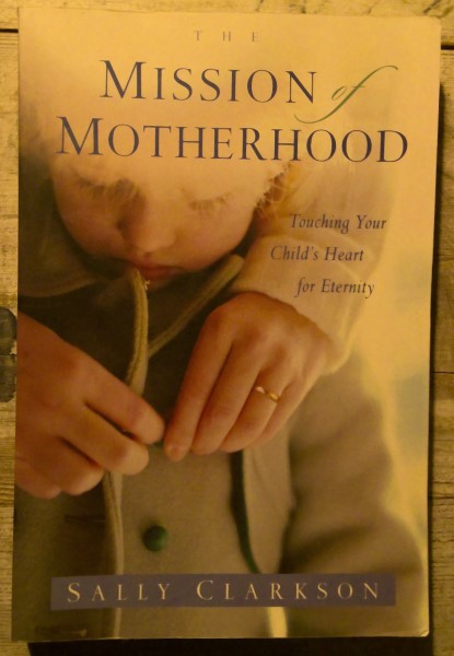 The Mission of Motherhood by Sally Clarkson for sale on Hein Ventures' Bookshop