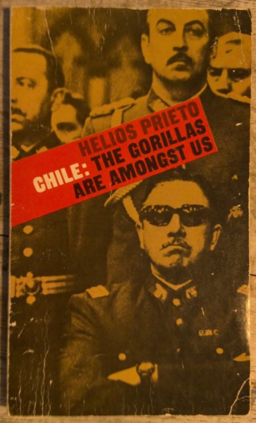 Chile: The Gorillas Are Amongst Us by Helios Prieto for sale