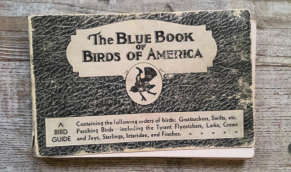 The Blue Book of Birds of America by Frank G. Ashbrook for sale