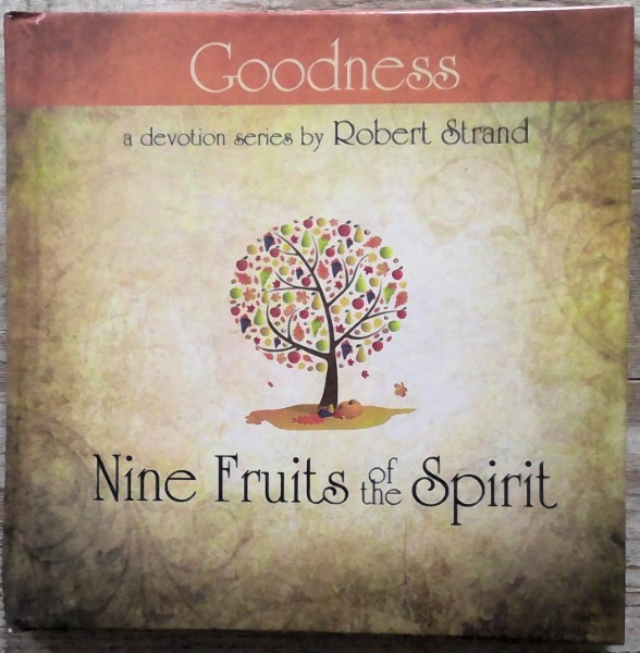 Nine Fruits of the Spirit: Goodness by Robert Strand available on Hein Ventures' Bookstore