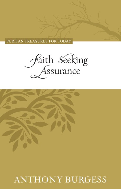 Faith Seeking Assurance by Anthony Burgess available on Hein Ventures' online bookstore