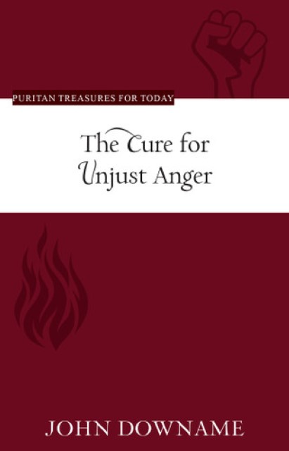 The Cure for Unjust Anger by John Downame available on Hein Ventures' online bookstore