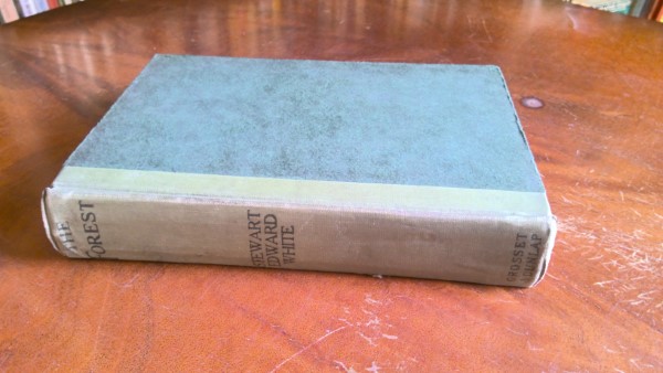 The Forrest by Stewart Edward White for sale