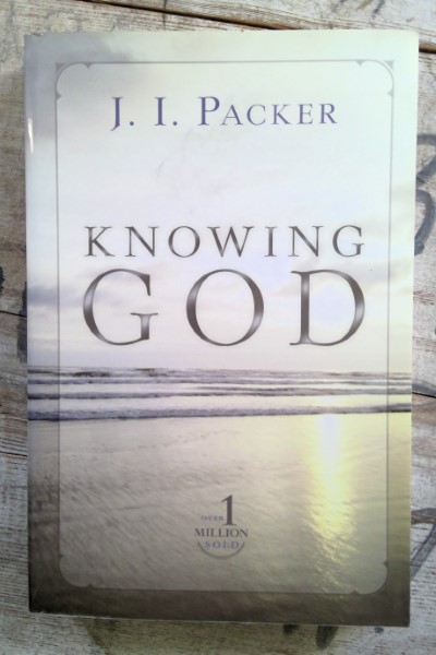 Knowing God by J.I. Packer for sale