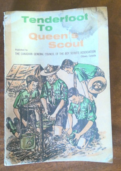 From Tenderfoot to Queen's Scout Canadian Boy Scouts Manual for sale