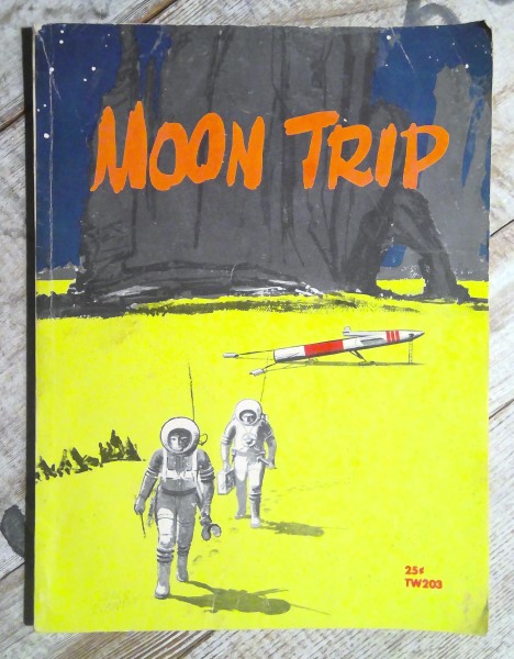 Moon Trip by William Nephew and Michael Chester for sale