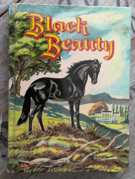 Black Beauty by Anna Sewell for sale