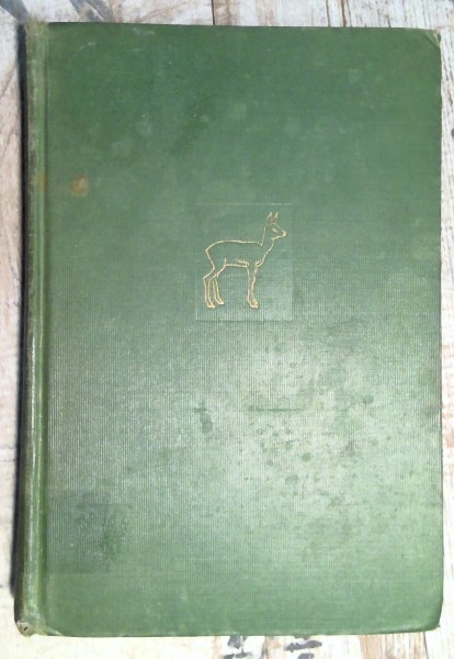 Bambi: A Life in the Woods by Felix Salten - 1928 US First Edition for sale