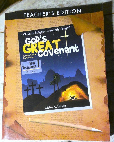 God's Great Covenant New Testament 1 by Claire A. Larsen for sale on Hein Ventures' Bookstore