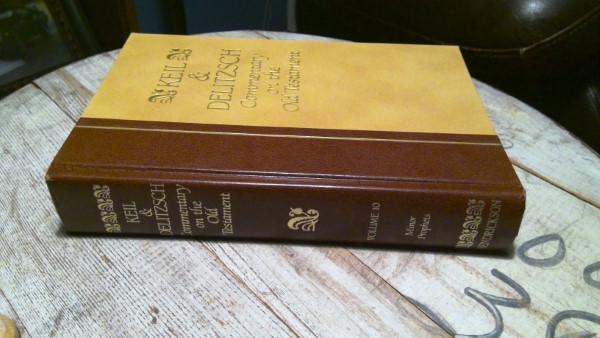 Keil & Delitzch Commentary on the Old Testament - Vol. 10 for sale