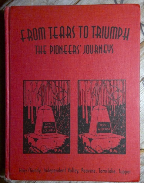 From Tears to Triumph: The Pioneer's Journey for sale